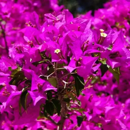 Luxury New !!! One And Only With Terrace & Free Bikes Apartament *