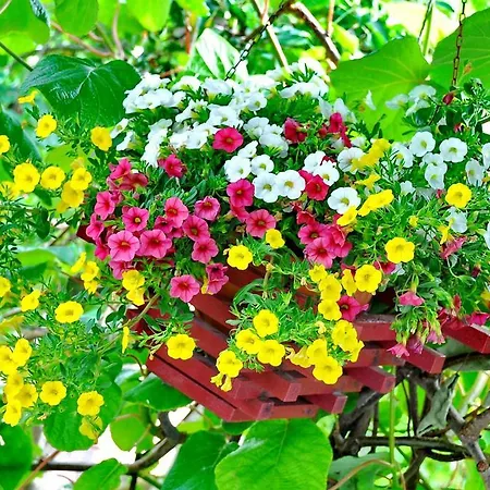 Luxury New !!! One And Only With Terrace & Free Bikes Apartament