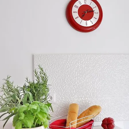 Luxury New !!! One And Only With Terrace & Free Bikes