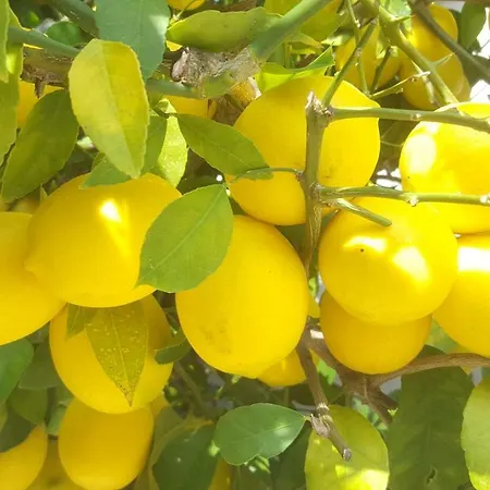 Luxury New !!! One And Only With Terrace & Free Bikes Apartament