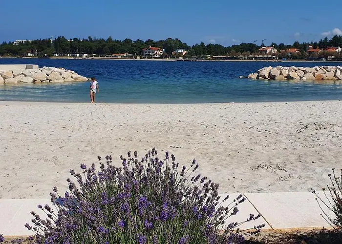 Luxury New !!! One And Only With Terrace & Free Bikes *