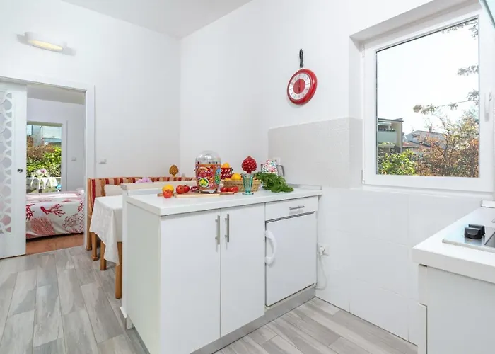 Luxury New !!! One And Only With Terrace & Free Bikes