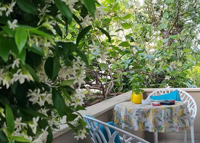 公寓 Luxury New !!! One And Only With Terrace & Free Bikes