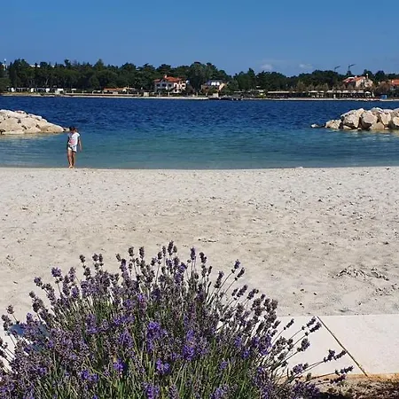 Luxury New !!! One And Only With Terrace & Free Bikes *