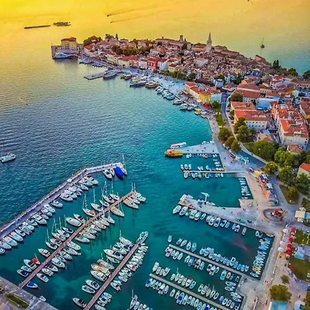 Luxury New !!! One And Only With Terrace & Free Bikes