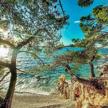 Luxury New !!! One And Only With Terrace & Free Bikes