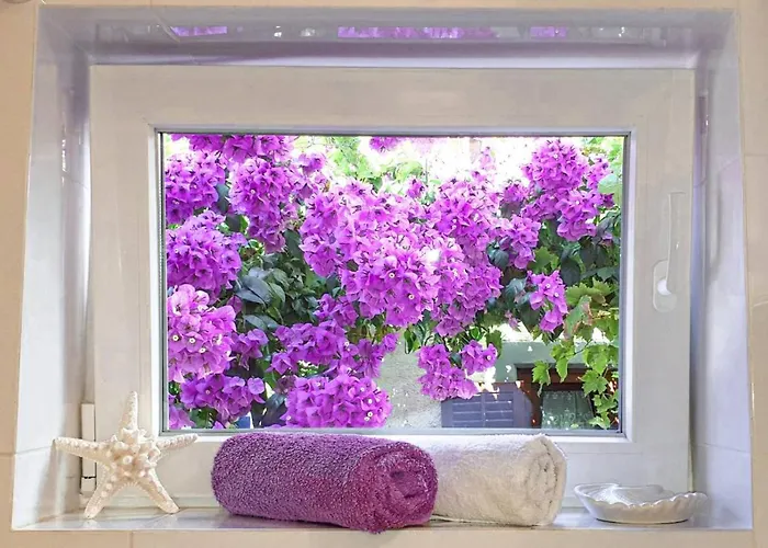 Luxury New !!! One And Only With Terrace & Free Bikes Appartement *