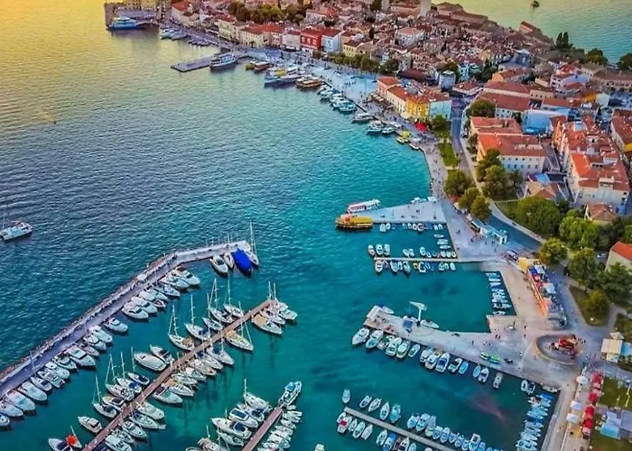 Luxury New !!! One And Only With Terrace & Free Bikes