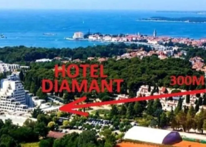 Luxury New !!! One And Only With Terrace & Free Bikes *