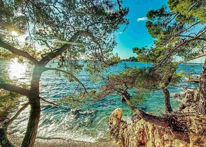 Luxury New !!! One And Only With Terrace & Free Bikes