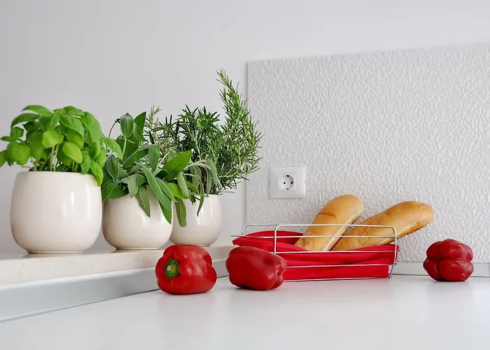 Luxury New !!! One And Only With Terrace & Free Bikes Poreč