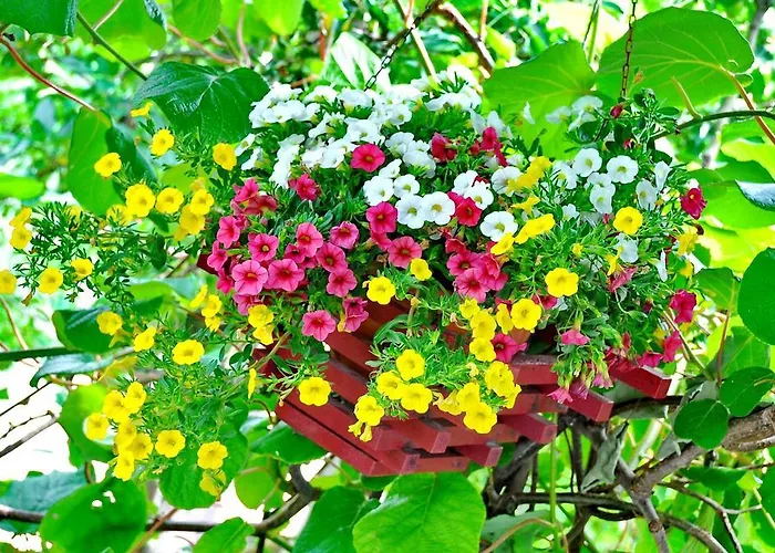 Luxury New !!! One And Only With Terrace & Free Bikes Appartement