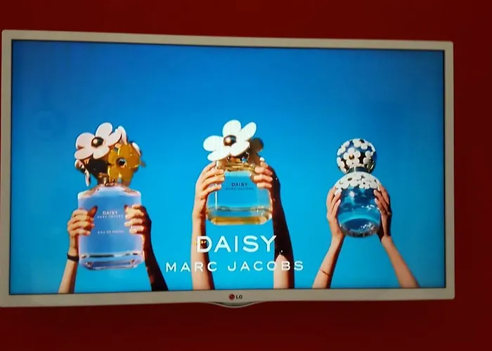 Luxury New !!! One And Only With Terrace & Free Bikes Apartment Poreč