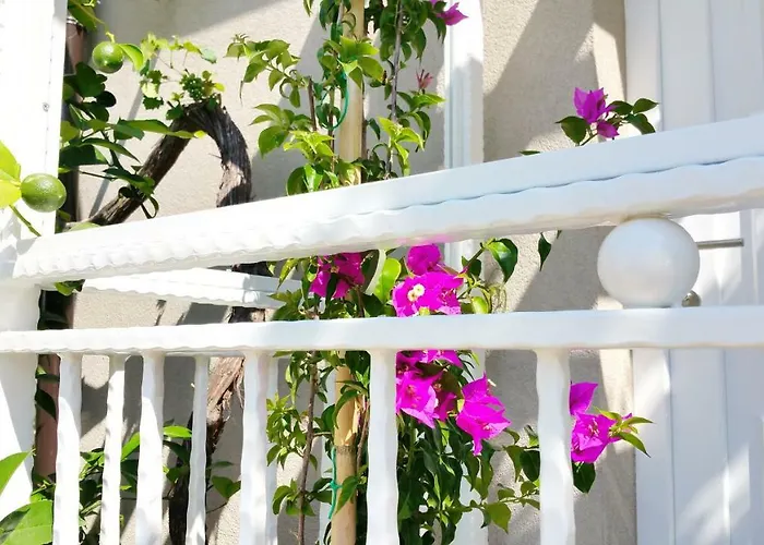 Luxury New !!! One And Only With Terrace & Free Bikes *